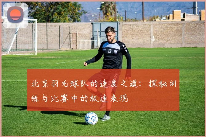 北京羽毛球队的速度之道：探秘训练与比赛中的极速表现